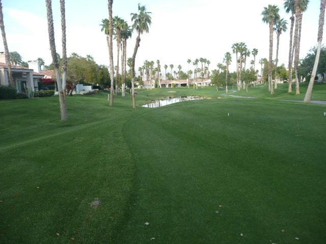 Palm Valley Cc Pickleball, Tennis, Gym, Clubhouse, Swimming Pools, Lux, Spac 2 Bdrms Den 2 Ba Palm Desert Exterior photo